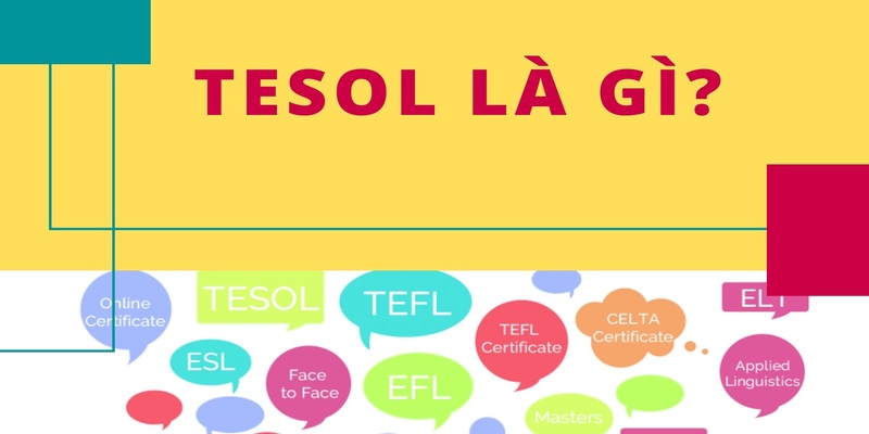 Khái niệm cho chứng chỉ TESOL là gì?